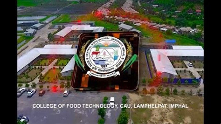 Discover The Untold Story Of Food Tech Innovator Jamie Mazur